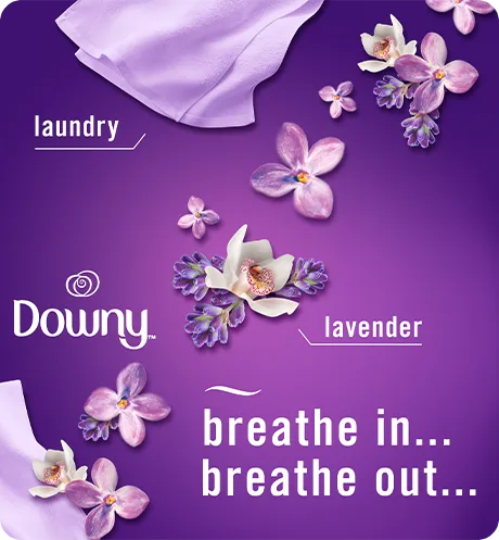 Breathe in, breathe out. Laundry. Lavender.