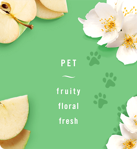 Pet - fruity, floral, fresh