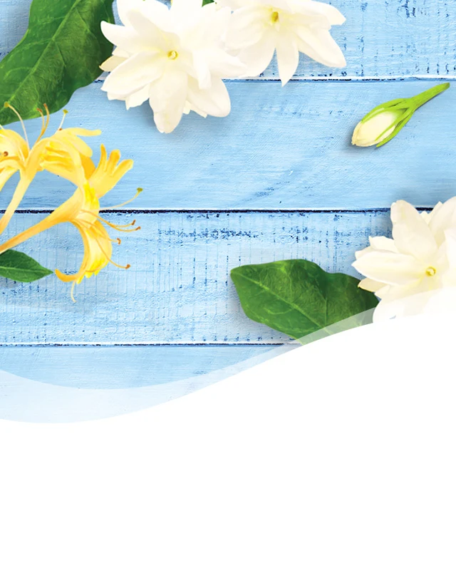 Header JasmineHoneySuckle