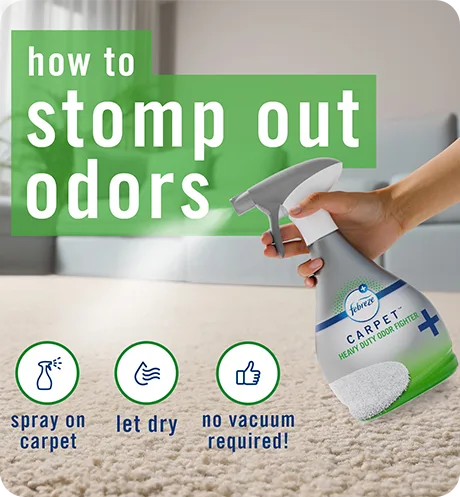 How to stomp out odors. Spray on carpet, let dry, no vacuum required. Carpet rainforest breeze 