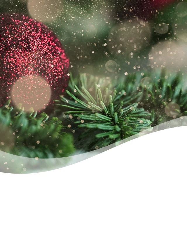 Holiday smartphone header Holiday smartphone header