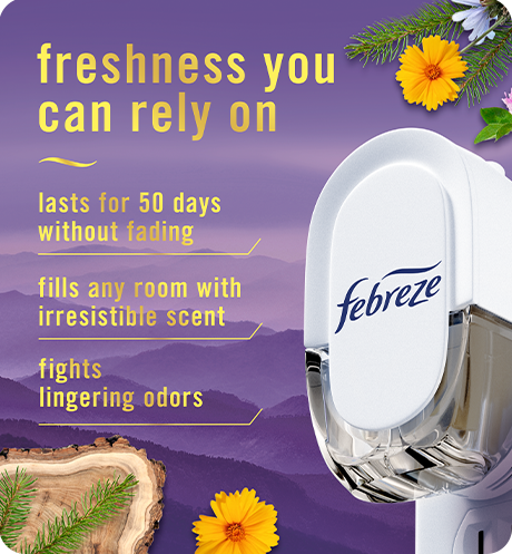 Plug Mountain, Ocean, Rainforest freshness you can rely on. Lasts for 50 days without fading. Fills any room with irresistible scent. Fights lingering odors.