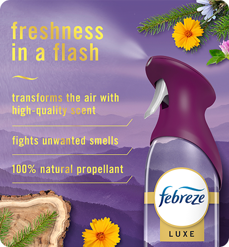 AIR Mountain. Freshness in a flash. Transforms the air with high quality scent, fights unwanted smells, 100% natural propellant.