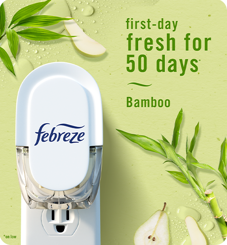 Plug Bamboo Light first-day fresh for 50 days.