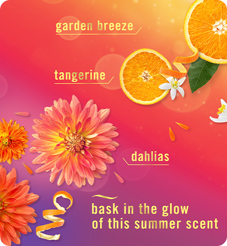 Scent Summer Golden Hour. Garden breeze, tangerine, dahlias, bask in the glow of this summer scent.