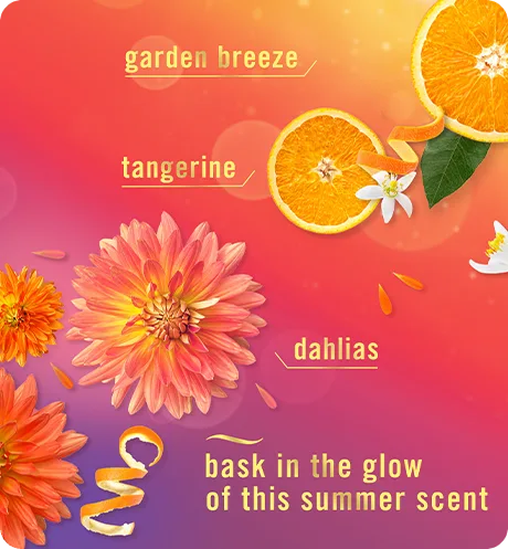 Scent Summer Golden Hour. Garden breeze, tangerine, dahlias, bask in the glow of this summer scent.