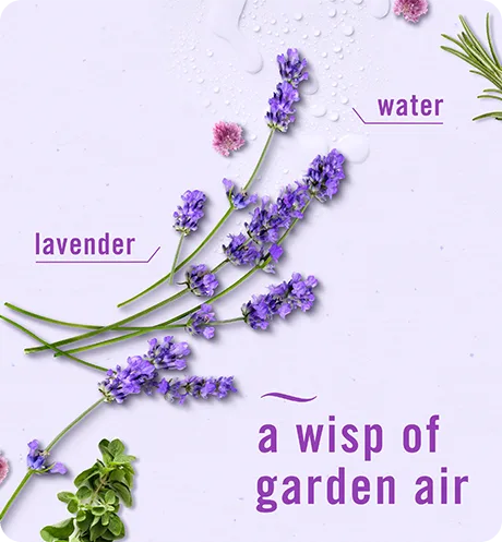 Light Lavender: water, lavender, a wisp of garden air.