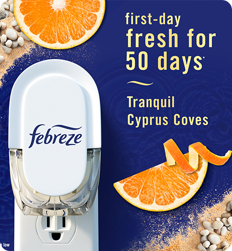 Plug Tranquil Cyprus Coves first-day fresh for 50 days.