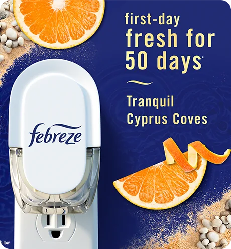 Plug Tranquil Cyprus Coves first-day fresh for 50 days.