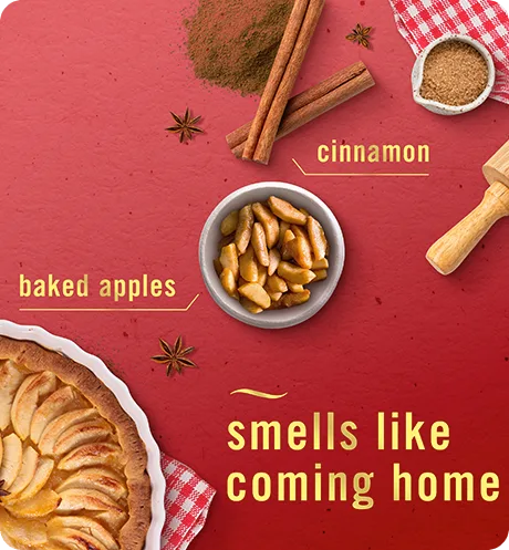 Baked Cinnamon Apple Scent Cue