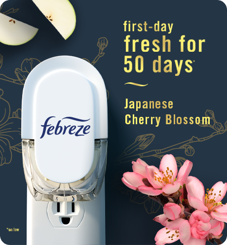 Japanese Cherry Blossom plug first-day fresh for 50 days.