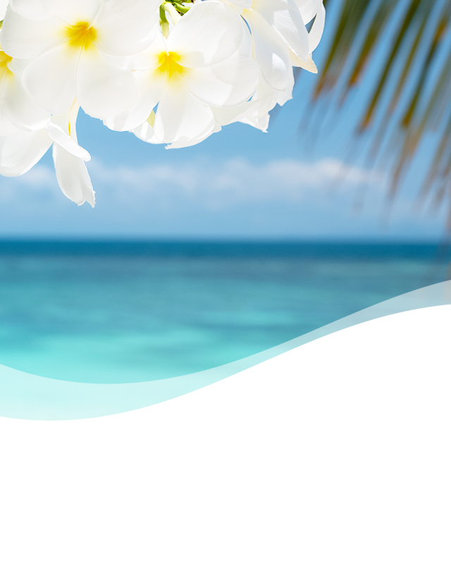 Honey Berry Hula | Febreze CAR