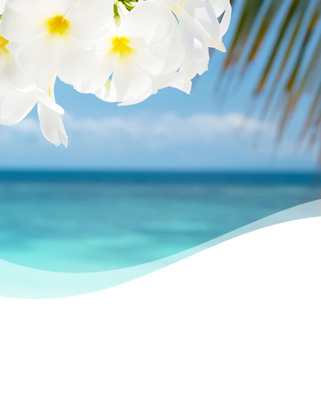 Gain Honey Berry Hula Pluggable Air Freshener Febreze