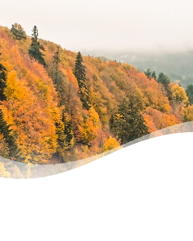 Crisp Fall Breeze Header Background Mobile