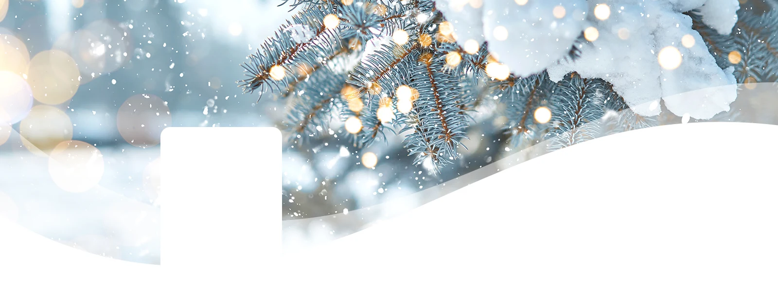 Serene Snow Header Background DT