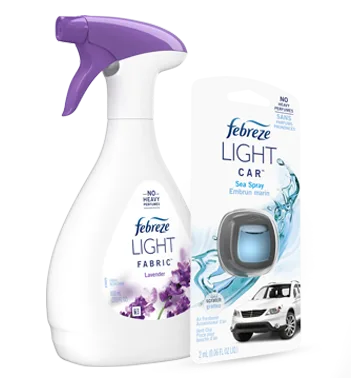 Air Fresheners & Odor-Fighting Products