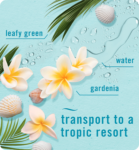 Bora Bora transport to a tropic resort. Leafy green, water, gardenia.