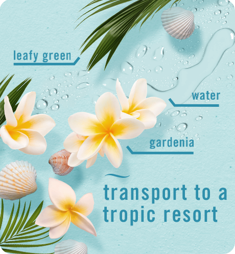 Bora Bora transport to a tropic resort. Leafy green, water, gardenia.