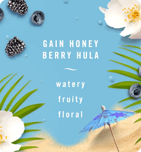 BrandcomCARScentGainHoneyBerryHula