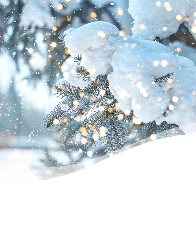 Serene Snow Header Background Mobile