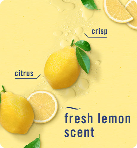 Fresh lemon scent. Crisp, citrus.