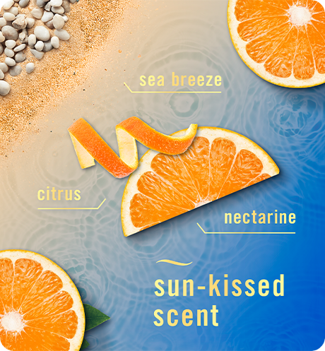 Sun-kissed scent. Sea breeze, citrus, nectarine.