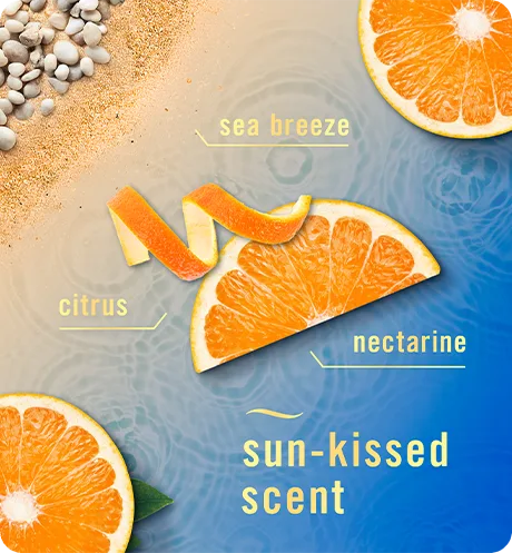 Sun-kissed scent. Sea breeze, citrus, nectarine.