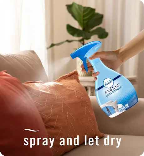 Fabric Extra Stregth Spray and let dry.