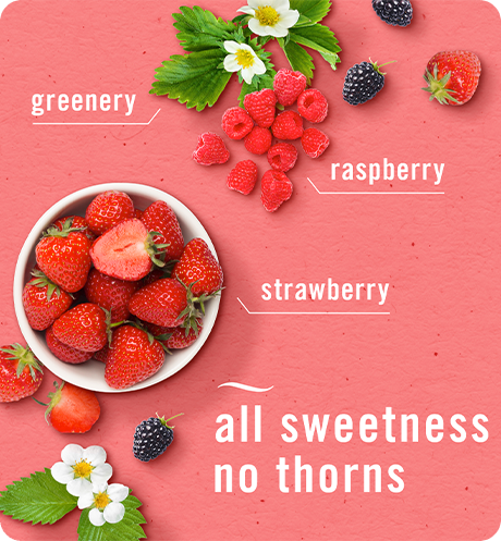 Greenery. Raspberry. Strawberry. All sweetness no thorns.