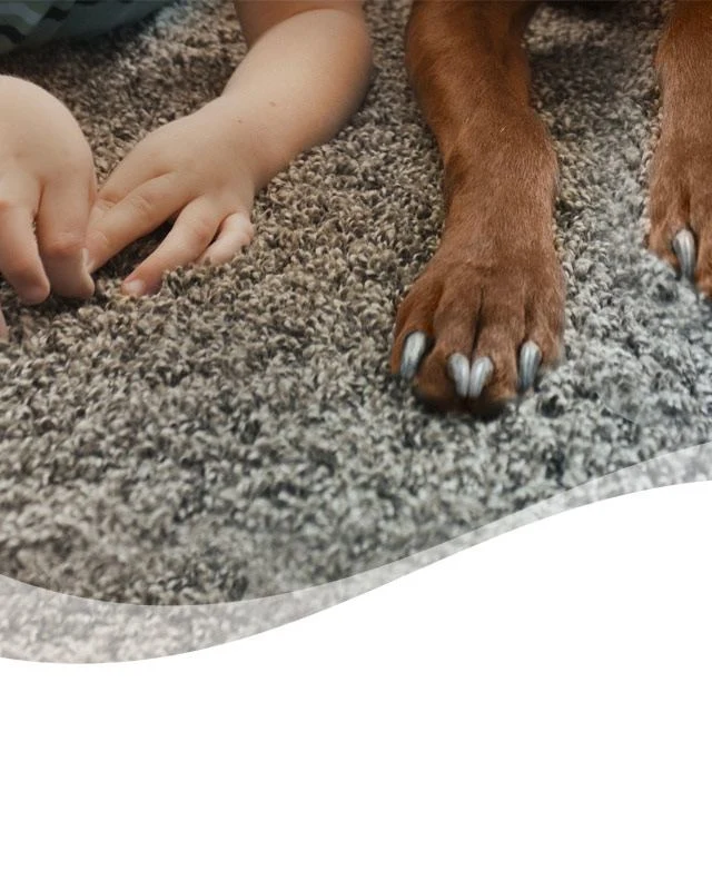 Heavy Duty Crisp Clean Febreze Fabric