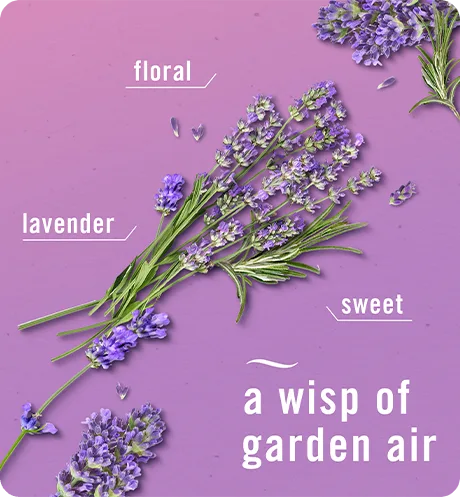 A wisp of garden air. Floral, Lavender, Sweet.