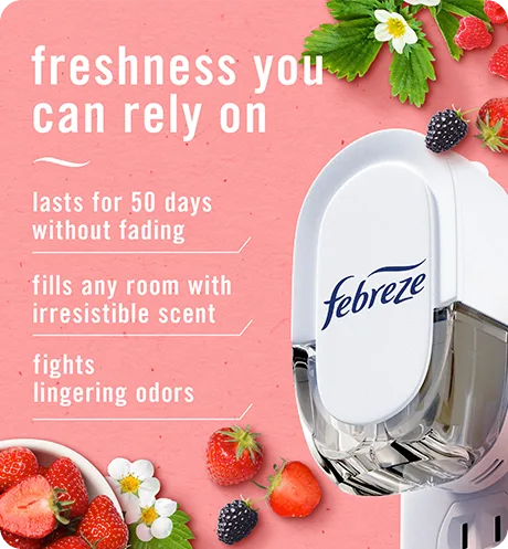 Plug Berry And Bramble freshness you can rely on: lasts for 50 days without fading, fills any room with irresistible scent, fights lingering oders.