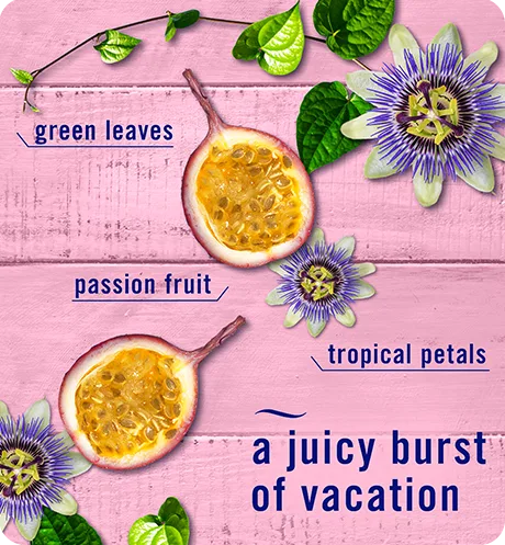 Plug Passion Fruit Breeze a juicy burst of vacation. Green leaves. Passion fruit. Tropical petals.