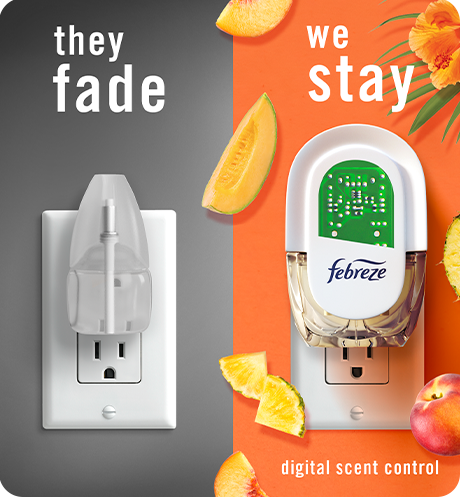 Plug hawaiian aloha, they fade, we stay.