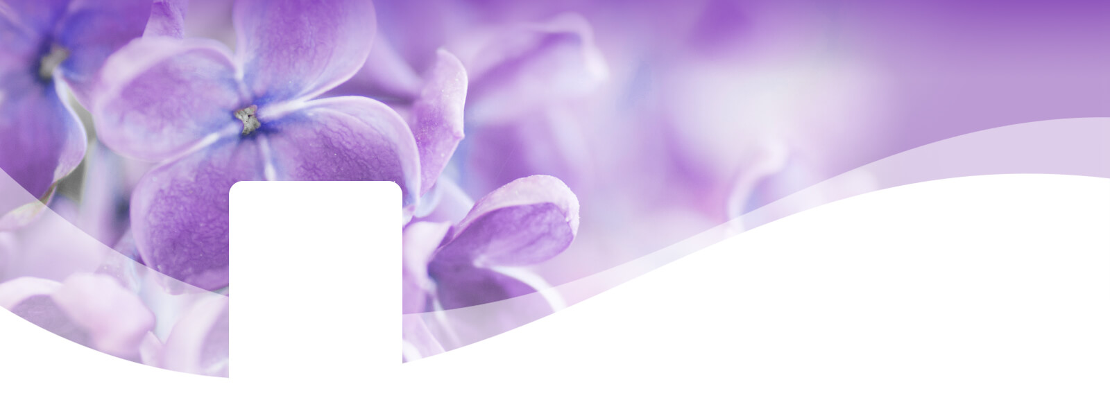 DT PDP Header Spring-Lilac
