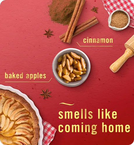 Baked cinnamon apples smells like coming home. Cinnamon, baked apples.