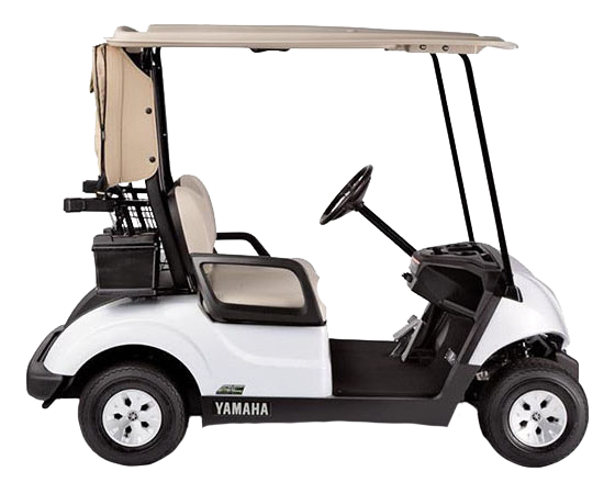 4-Passenger Gas Golf Cart