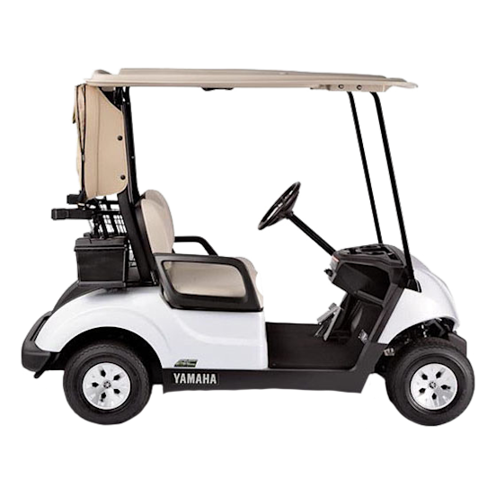 4-Passenger Gas Golf Cart
