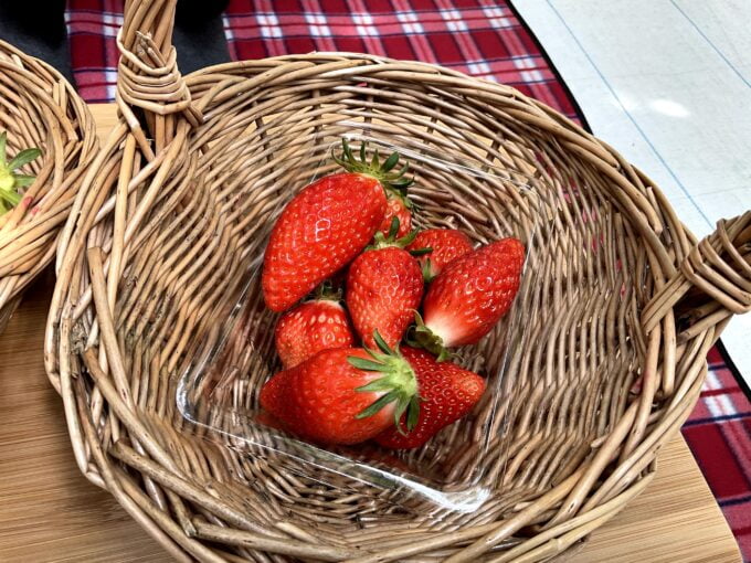 IMG 0037-680x510