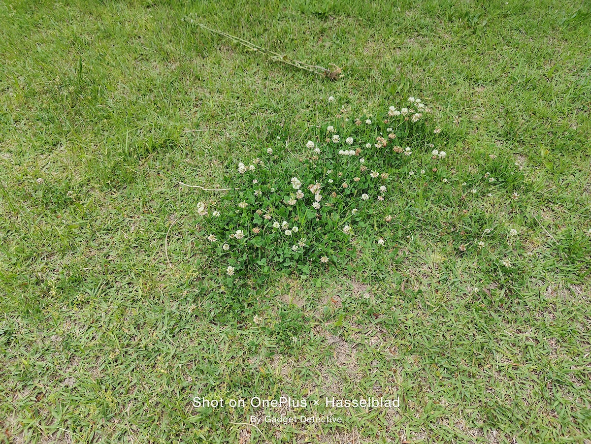 IMG 20210511 181146