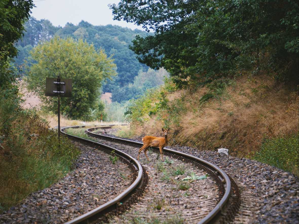 Rails empty? exists? blank? present? まとめ