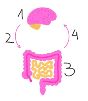 Brain