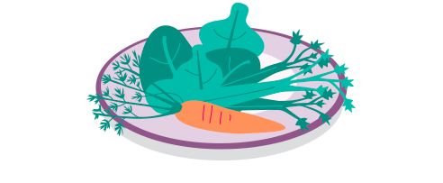 Healthy Diet icon
