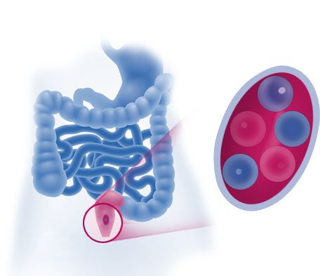 Microlax softens stool and stimulates bowel movement