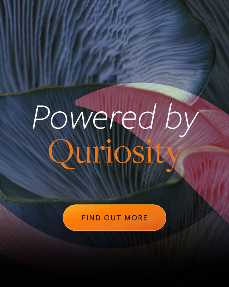 A blue and red banner with the words 'Powered by Quriosity' and a orange box with 'Find out more'