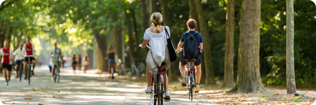 WEB Banner krokus 2026 citytrip