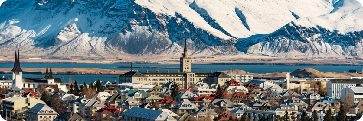 Banner Reykjavik