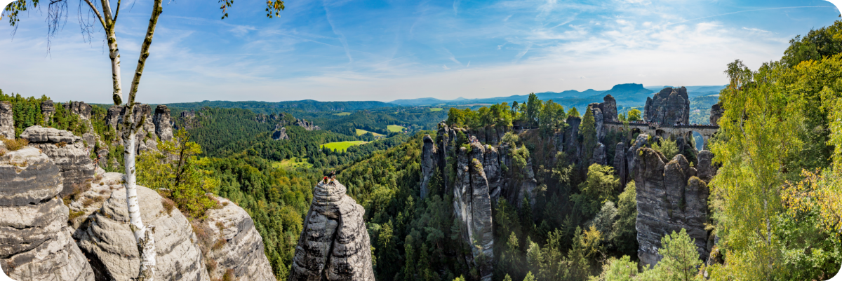 WEB Banner Saxony