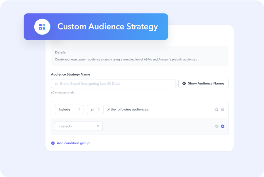 Custom Audience Strategy