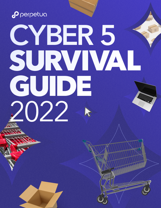 The Cyber 5 Survival Guide (2022) Perpetua